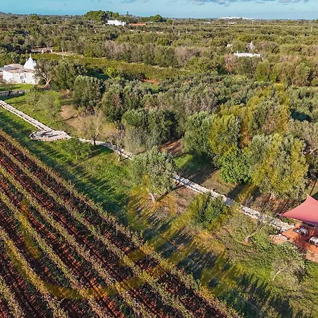 Σπίτι διακοπών Td Trullo Titiro With Wine Cellar, Vineyard & Pool