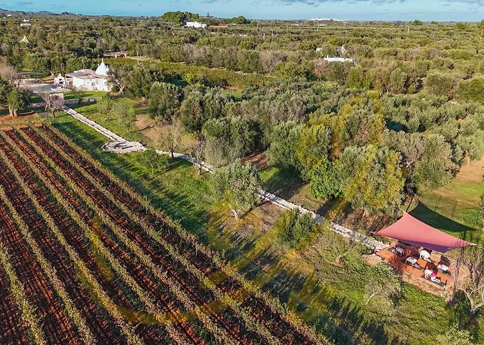 Дом отдыха Td Trullo Titiro Vineyard Wine Cellar Pool