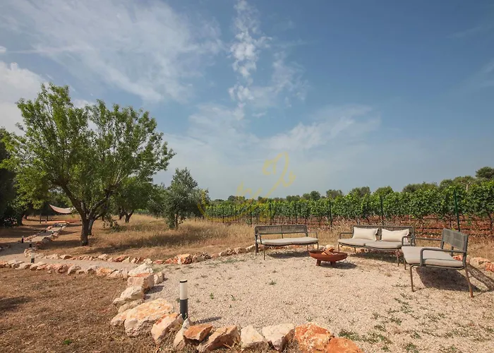 Td Trullo Titiro Vineyard Wine Cellar Pool